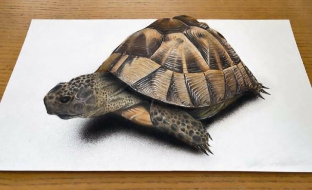 Awesome 3D Drawings (30 pics)