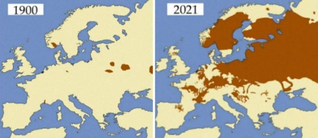 Interesting Maps (26 pics)