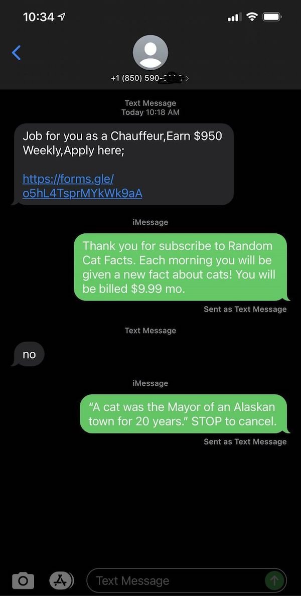 Funny Scammers (28 pics)