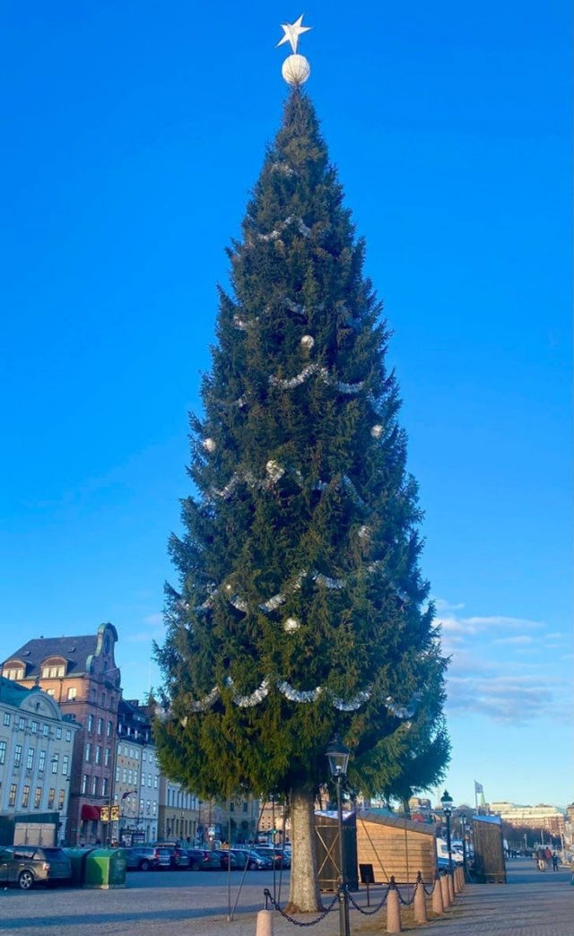 Something About Sweden (14 pics) Something About Sweden (14 pics)