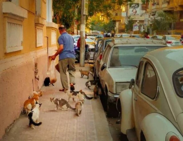 Interesting Things Of Egypt (37 pics)