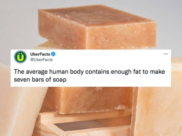 Random Facts (26 pics)