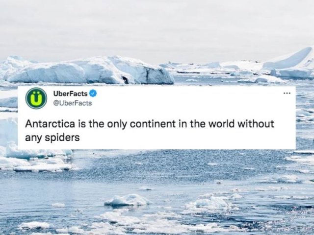 Random Facts (26 pics)