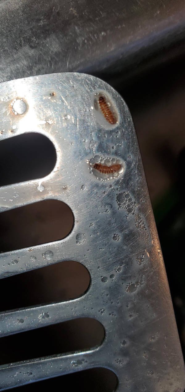 Bad Days Happen (36 pics)