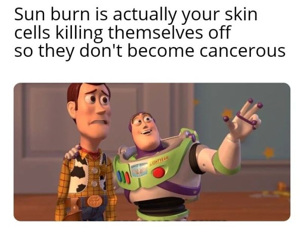 Random Memes (27 pics)