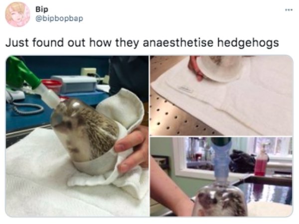 Random Memes (27 pics)