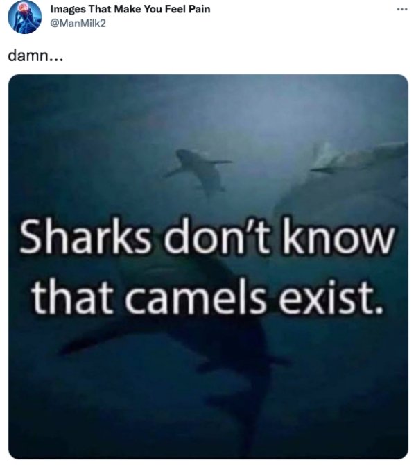 Random Memes (27 pics)