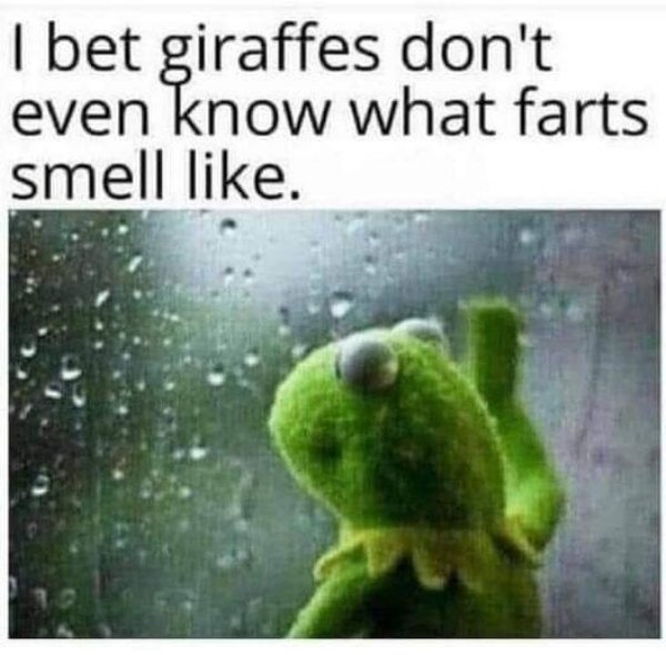 Random Memes (27 pics)