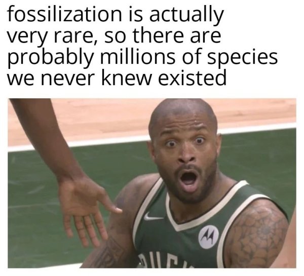 Random Memes (27 pics)