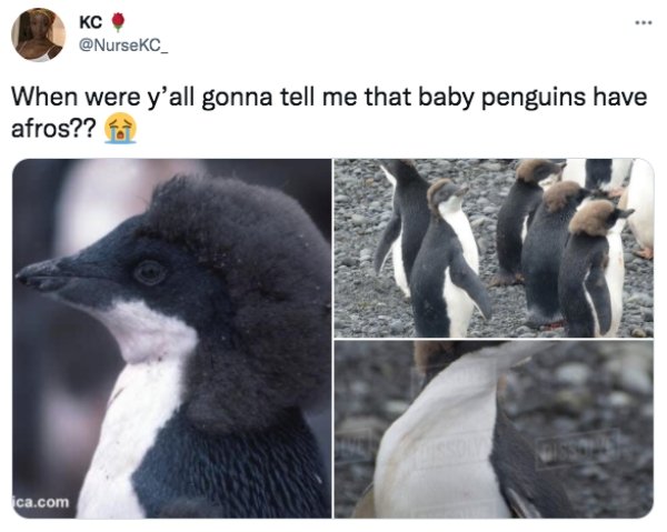 Random Memes (27 pics)