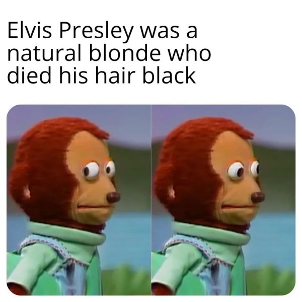 Random Memes (27 pics)