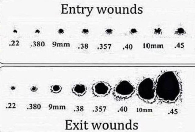 Random Facts (16 pics)