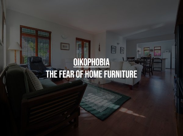 Unusual Phobias (17 pics)