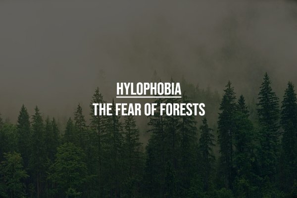 Unusual Phobias (17 pics)