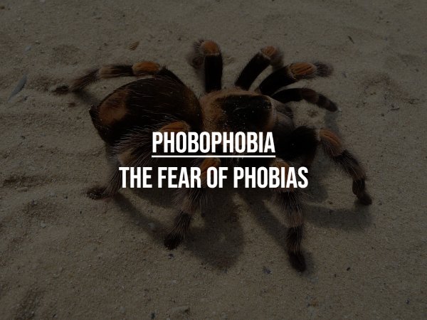 Unusual Phobias (17 pics)
