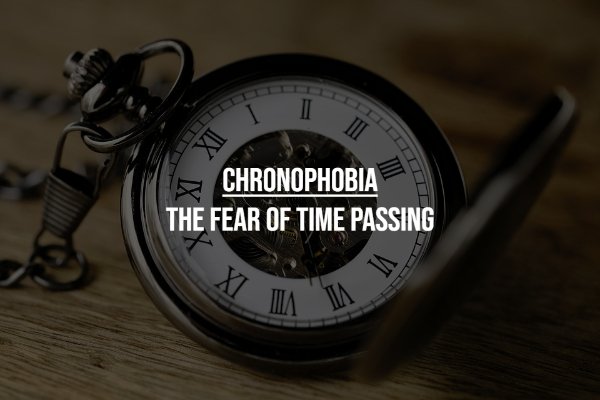 Unusual Phobias (17 pics)
