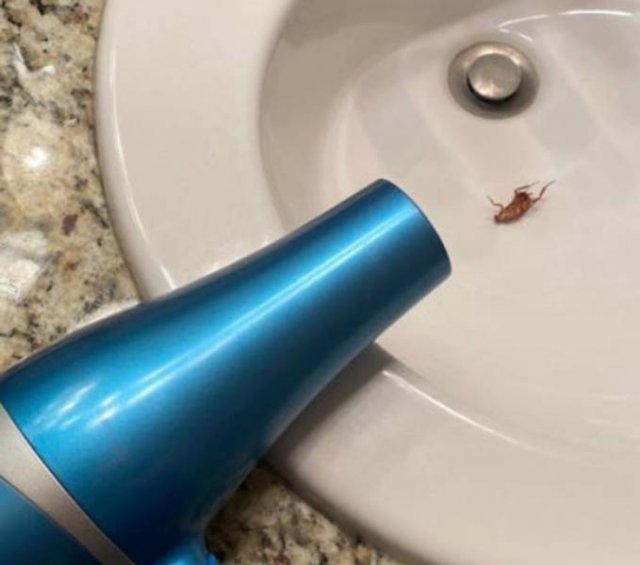 Unexpected Fails (25 pics)