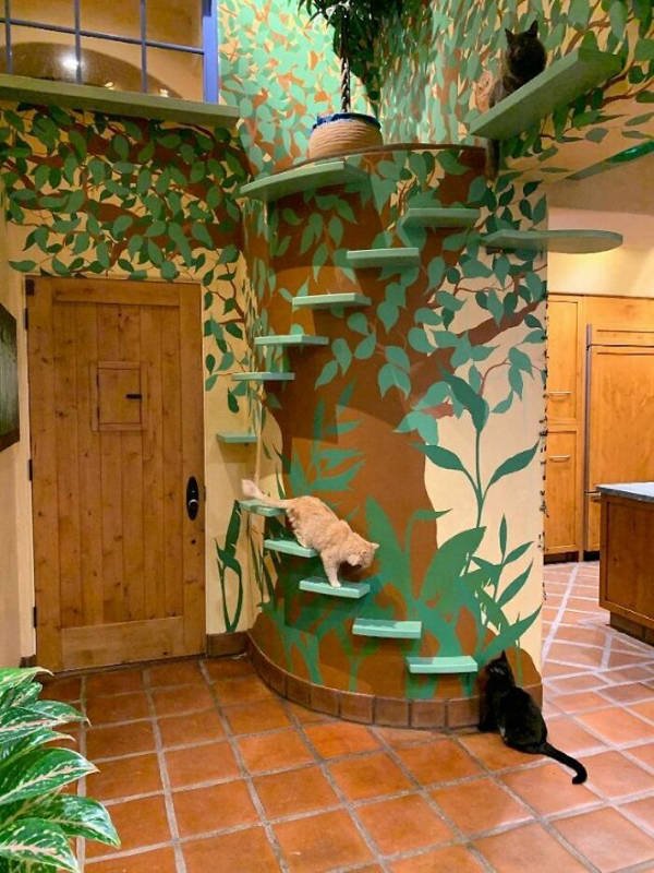 Perfect Cat House (29 pics)