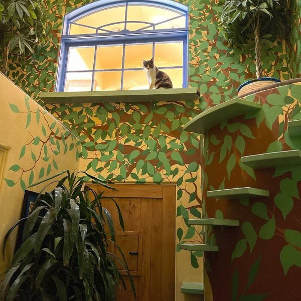 Perfect Cat House (29 pics)