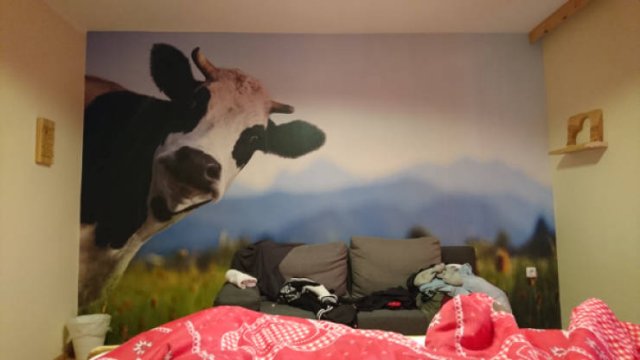 Weird Finds (47 pics)