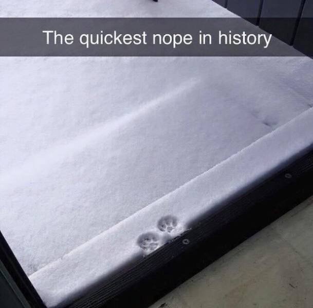 Weird Finds (47 pics)