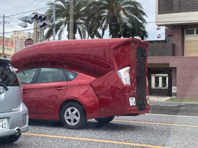 Weird Finds (47 pics)