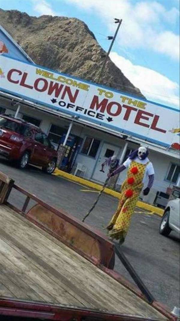 Weird Finds (47 pics)