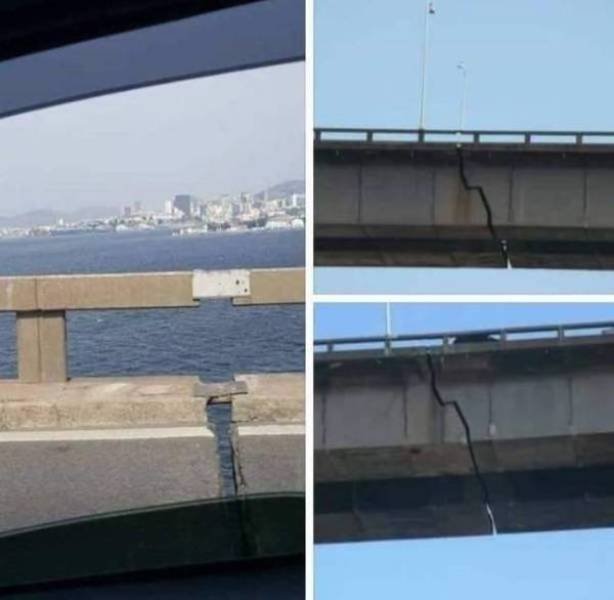 Weird Finds (47 pics)