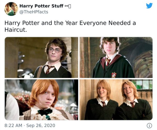 Harry Potter memes (20 pics)