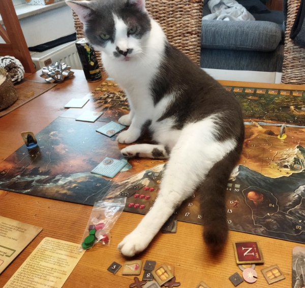Funny Cats (30 pics)