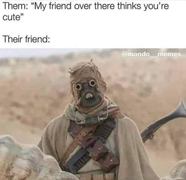 Truthful Memes (19 pics)