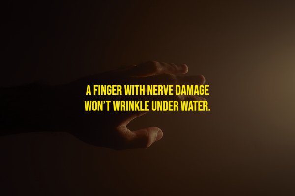 Random Facts (17 pics)