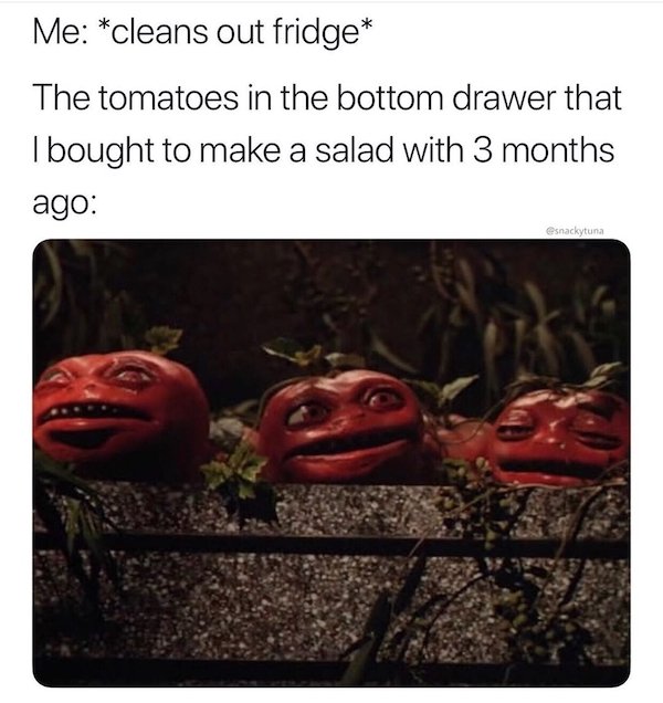 Truthful Memes (36 pics)