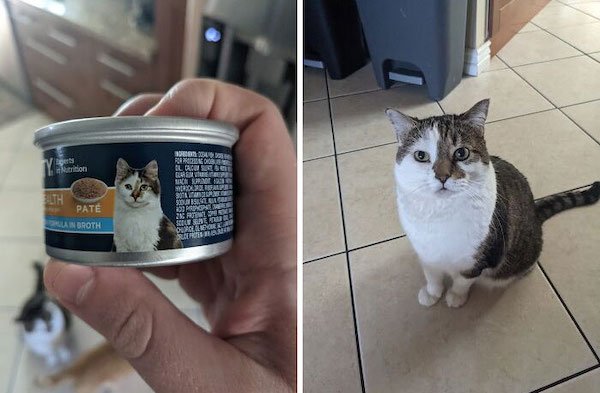 Interesting Comparisons (31 pics)