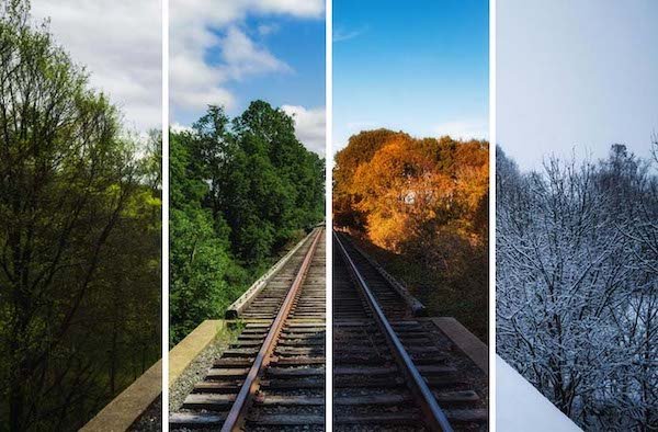 Interesting Comparisons (31 pics)