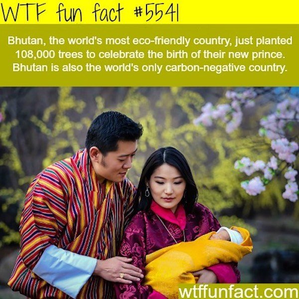 Interesting Facts (25 pics)