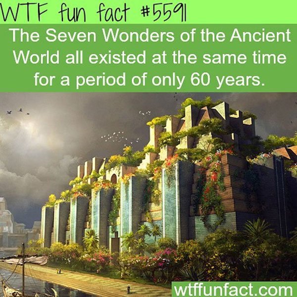 Interesting Facts (25 pics)