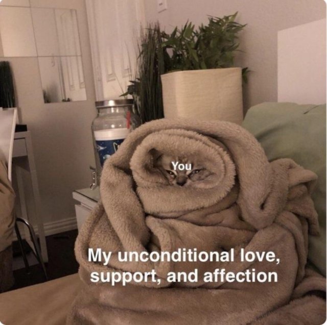 Relationship Memes (26 pics)