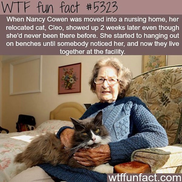 Interesting Facts (25 pics)