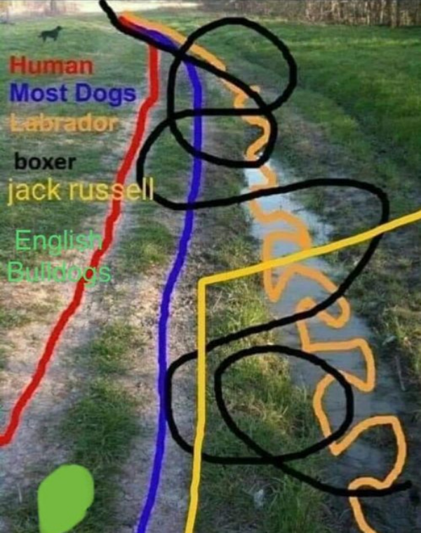 Funny Memes (20 pics)