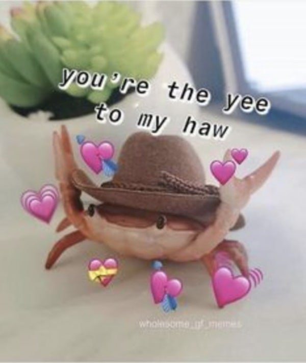 Wholesome Memes (22 pics)