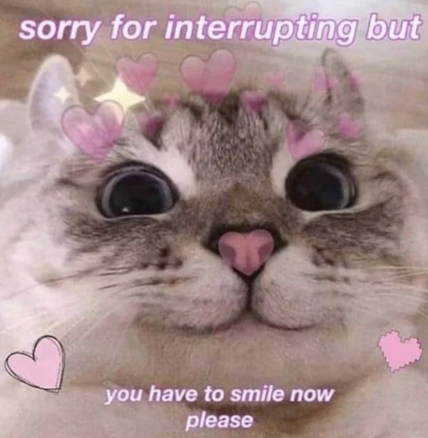 Wholesome Memes (22 pics)