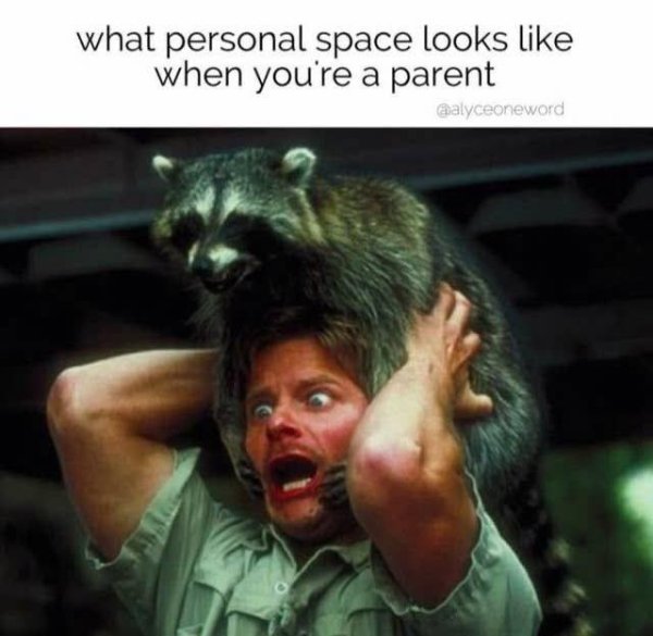 Parent Memes (27 pics)