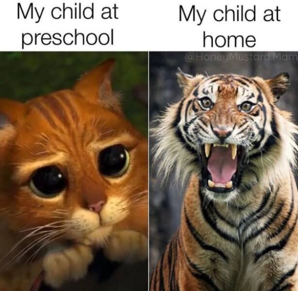 Parent Memes (25 pics)