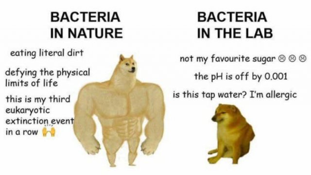 Science Memes (30 pics)