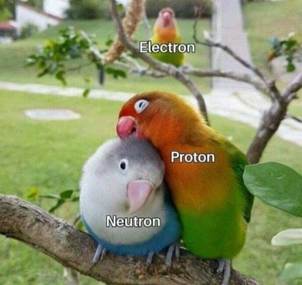 Science Memes (30 pics)