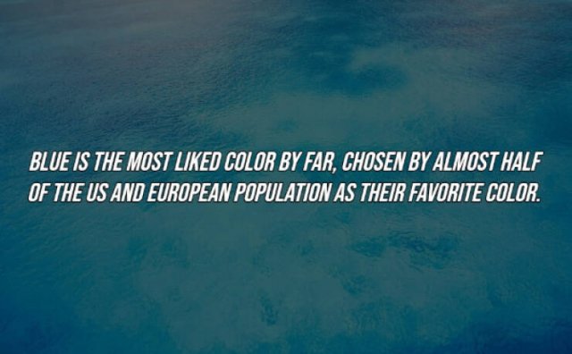 Random Facts (15 pics)