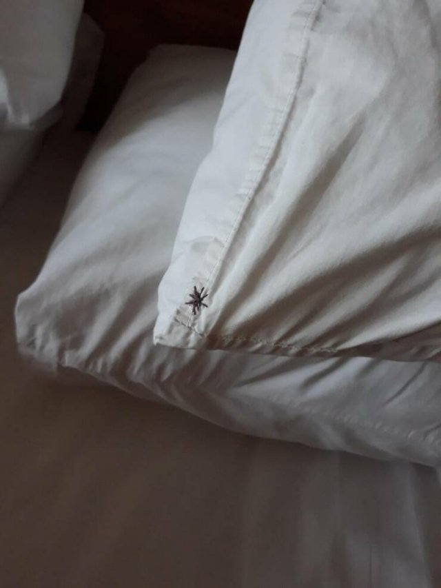 Annoying Situations In Hotels (22 pics)
