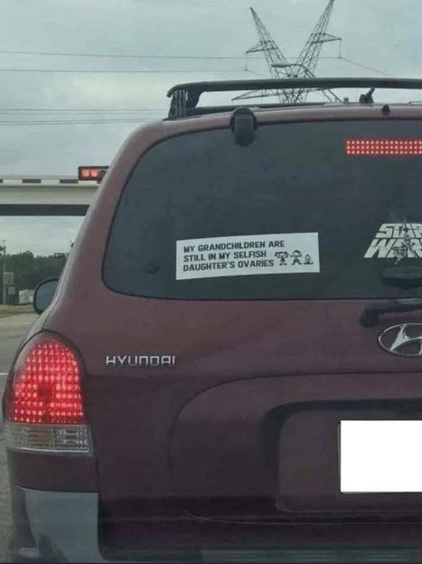 Annoying Egoists (11 pics)