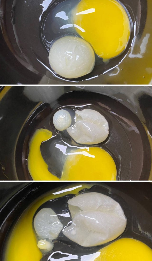 Amazing Reality (17 pics)
